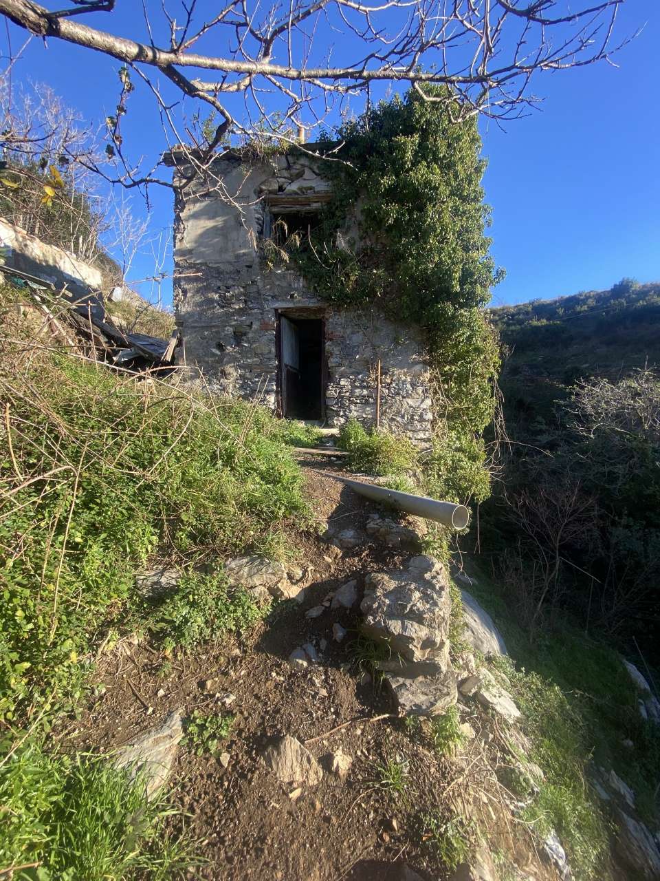  - foto 11