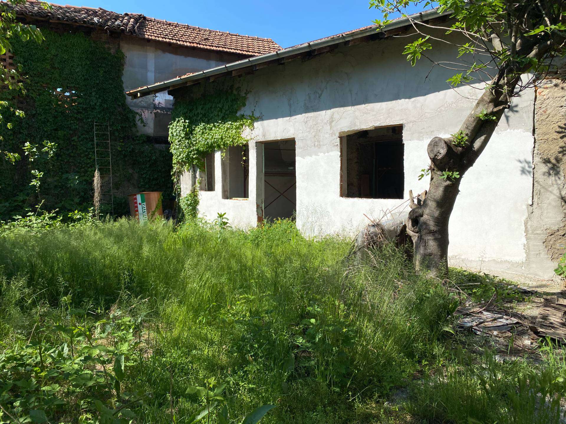  - foto 17