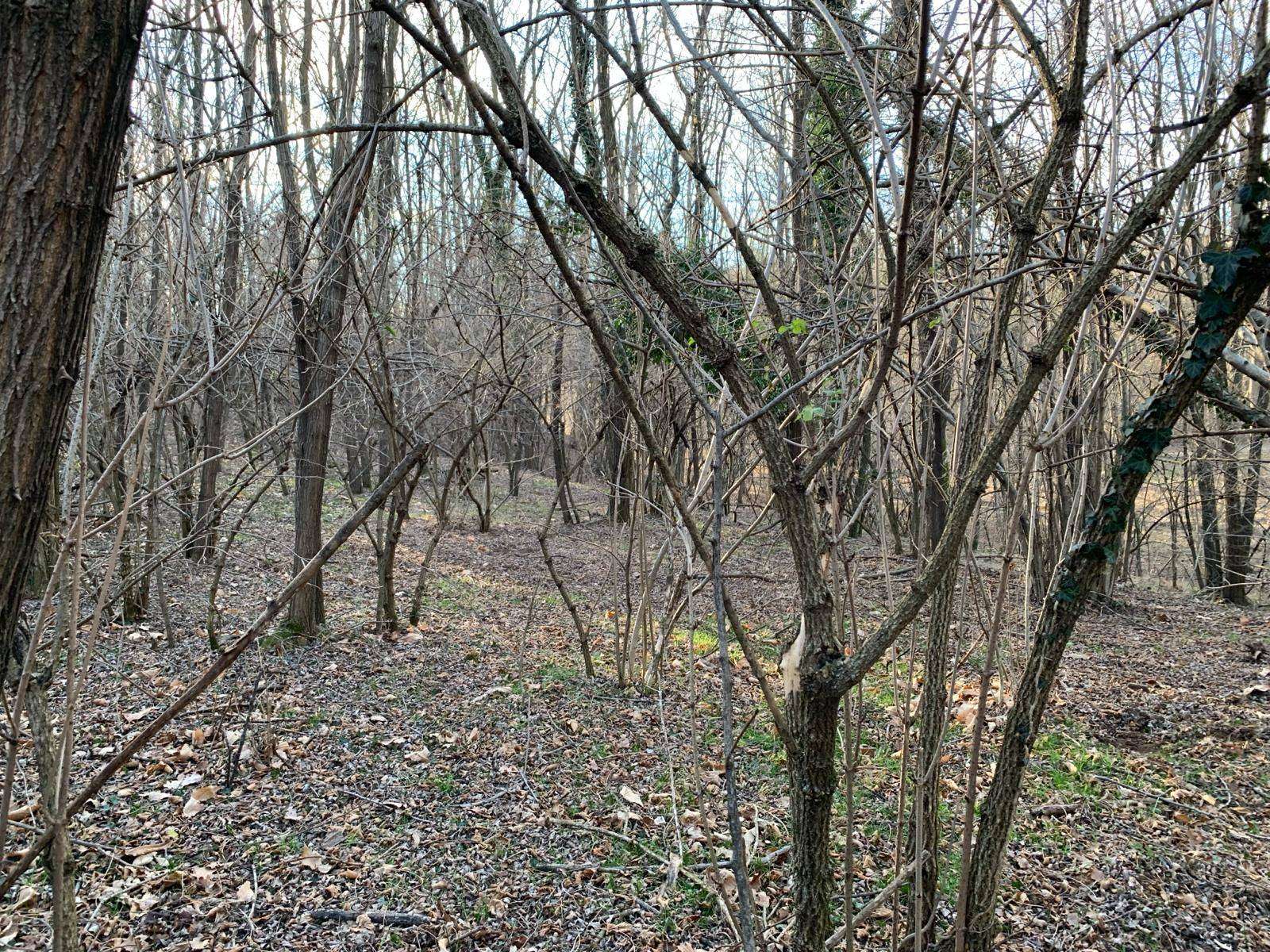  - foto 11