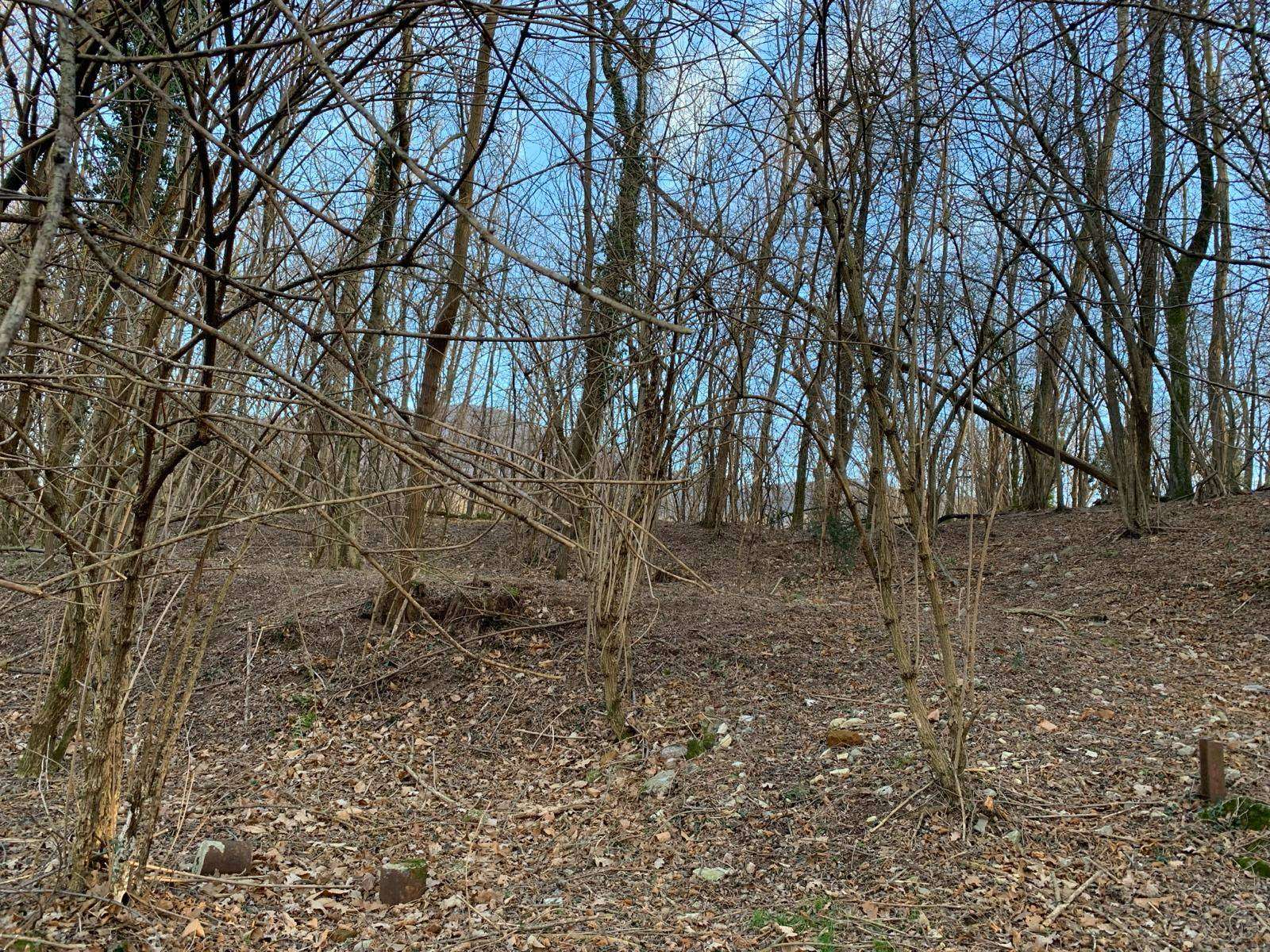  - foto 13