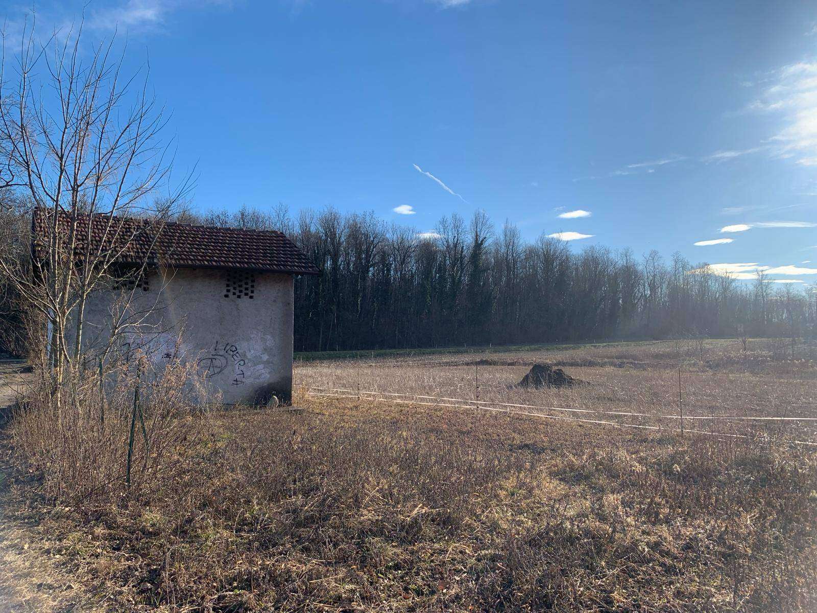  - foto 15