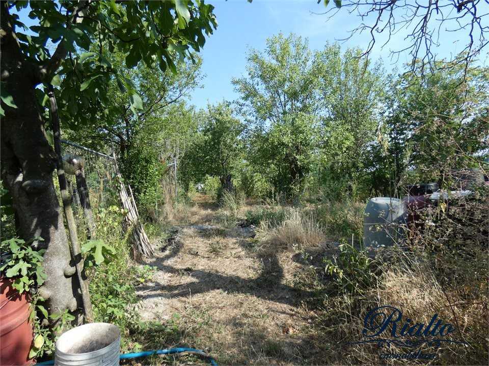  - foto 3
