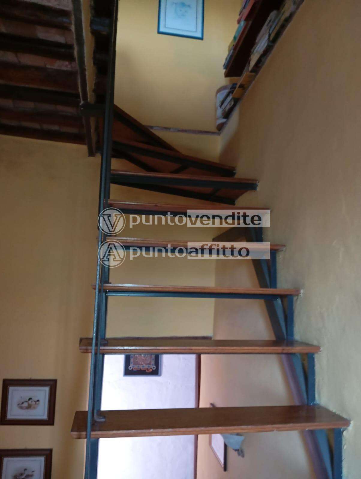  - foto 44
