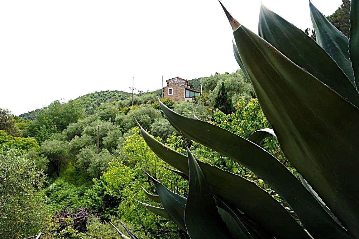  - foto 2