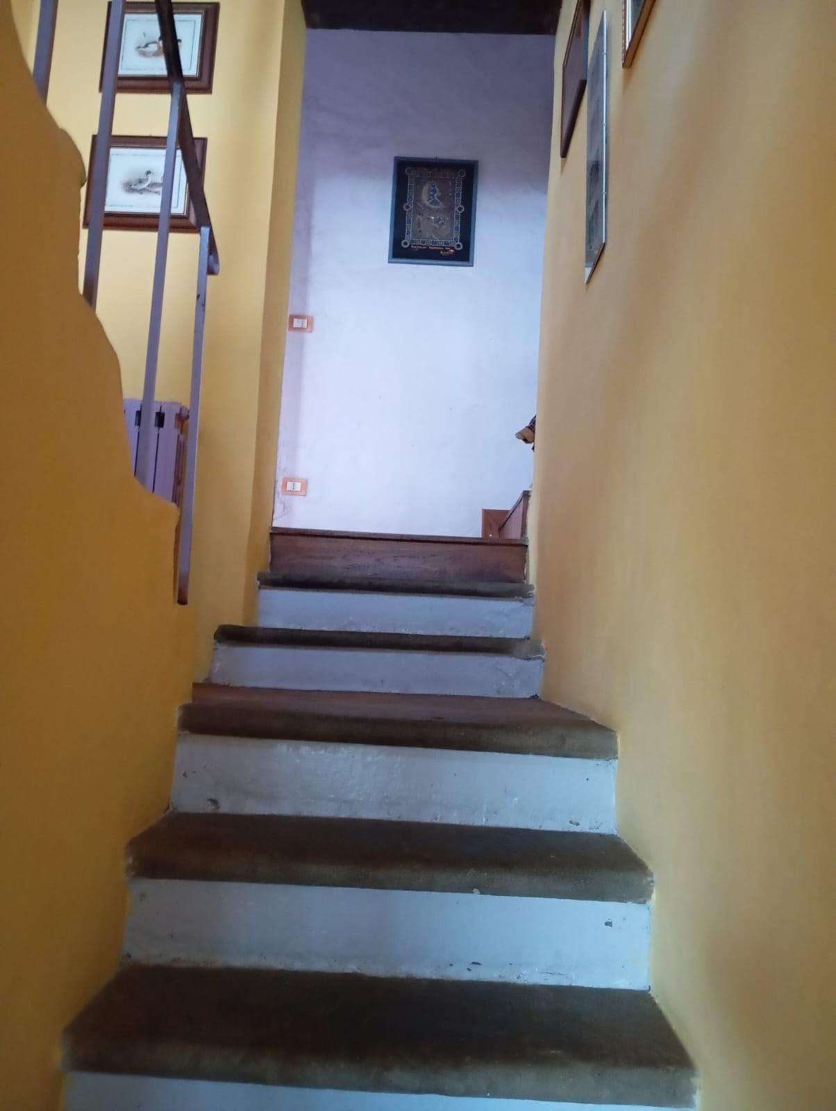  - foto 33