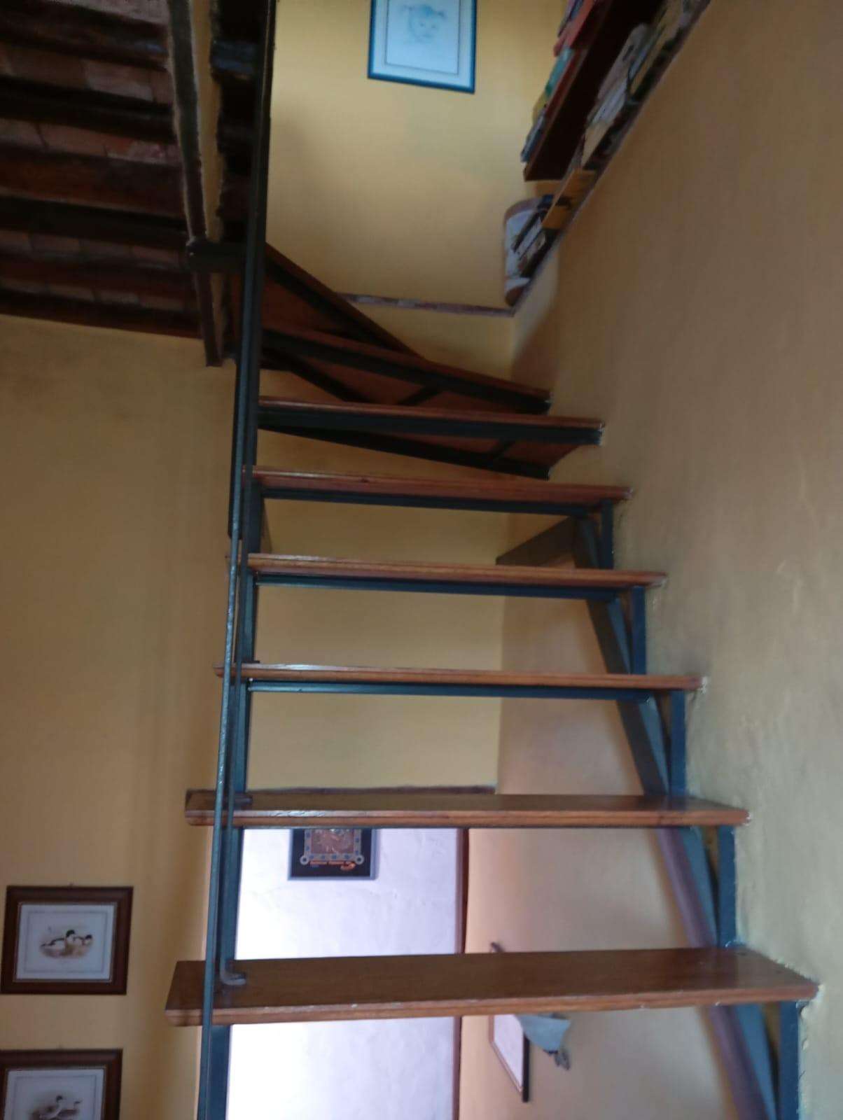  - foto 44