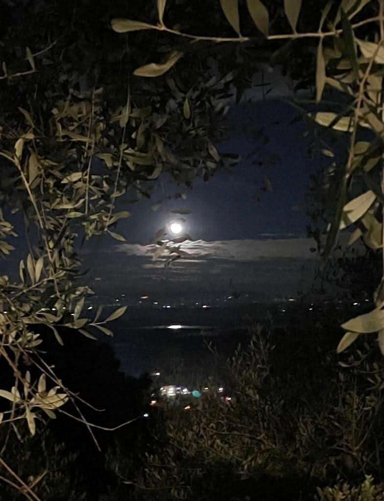  - foto 8