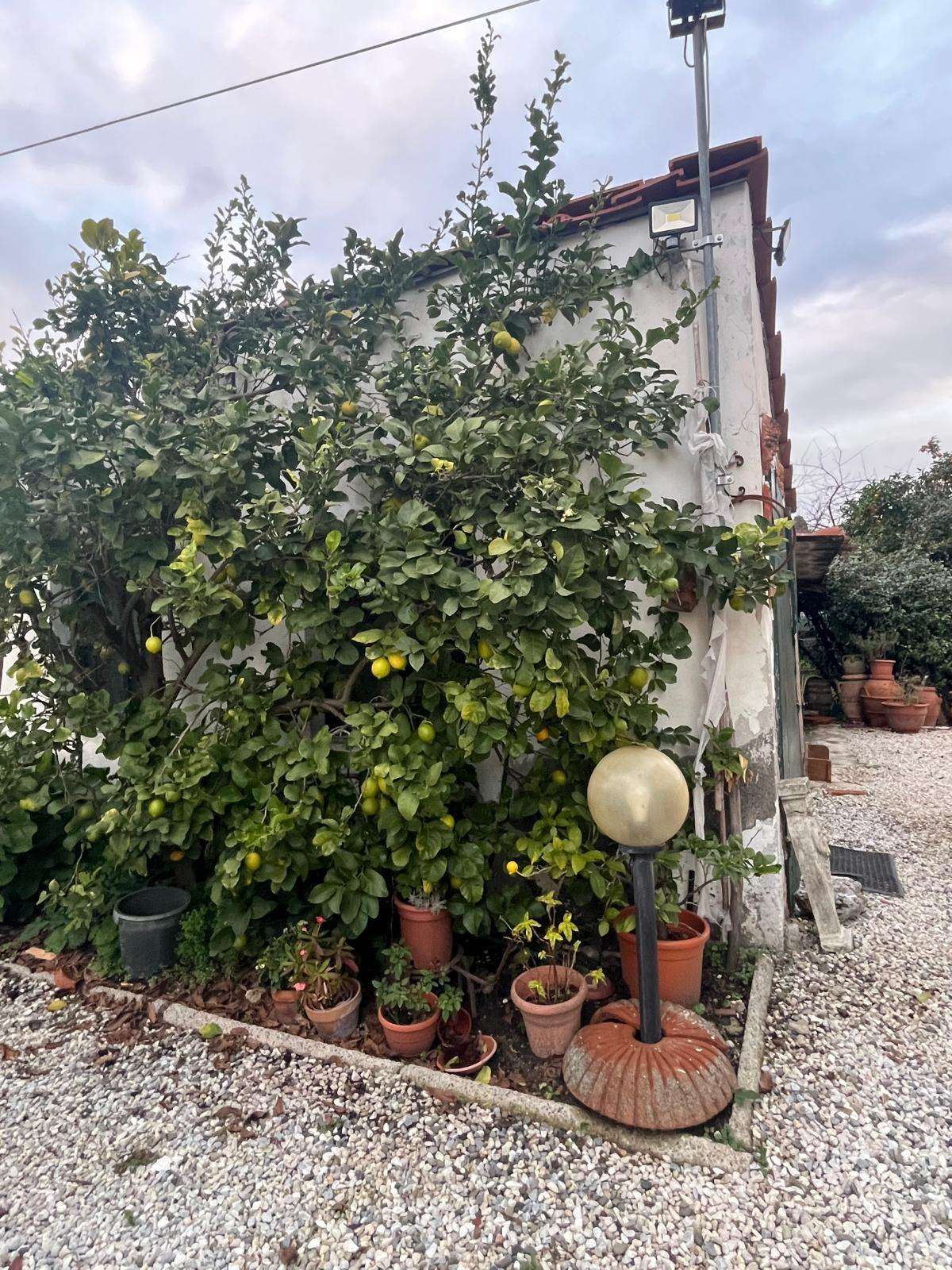  - foto 31