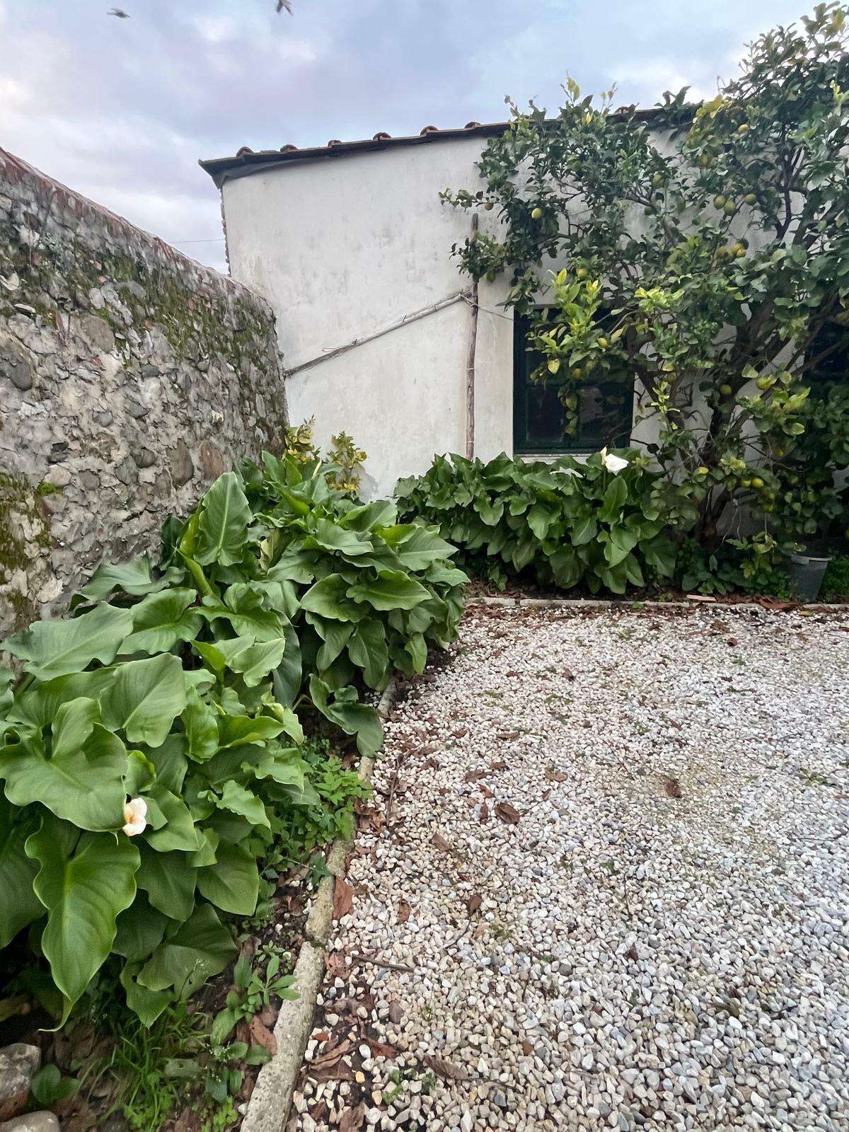  - foto 32