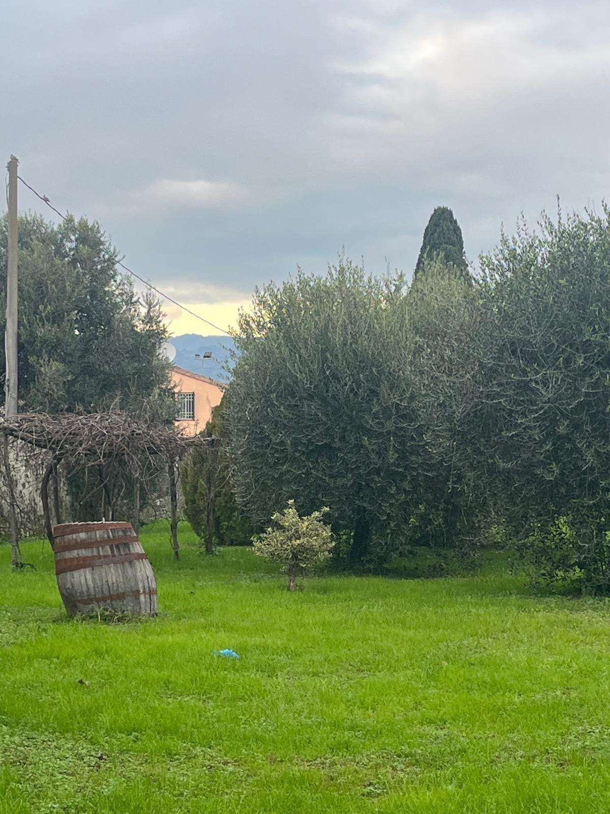  - foto 34