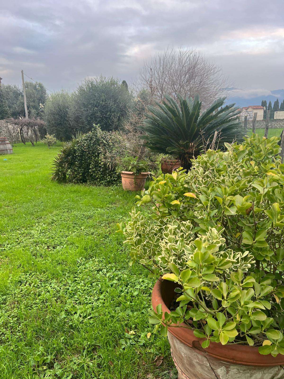  - foto 36