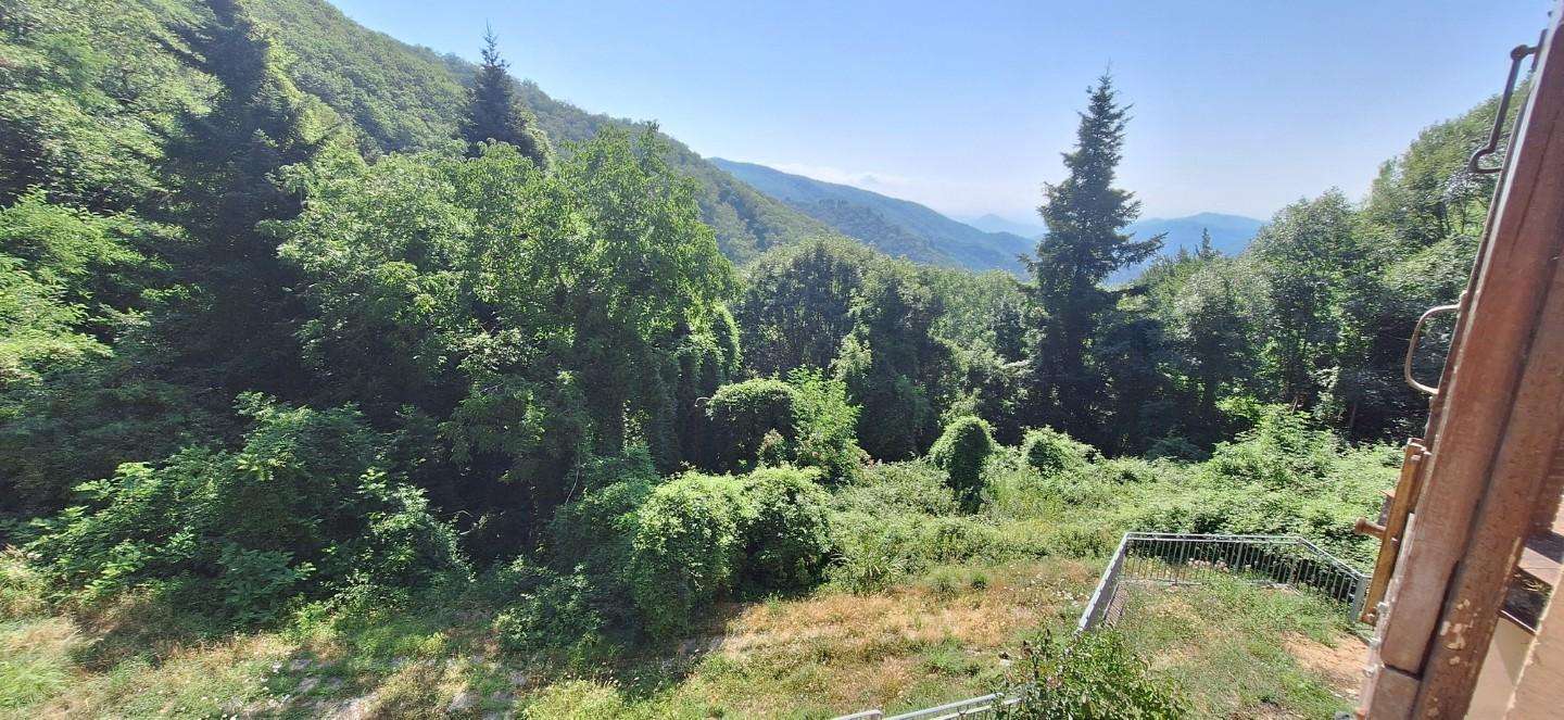  - foto 16