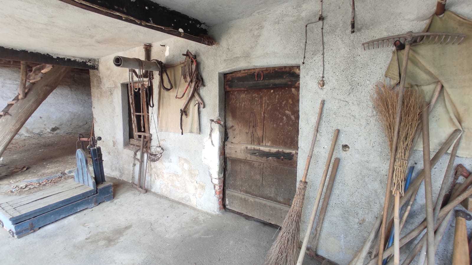  - foto 13