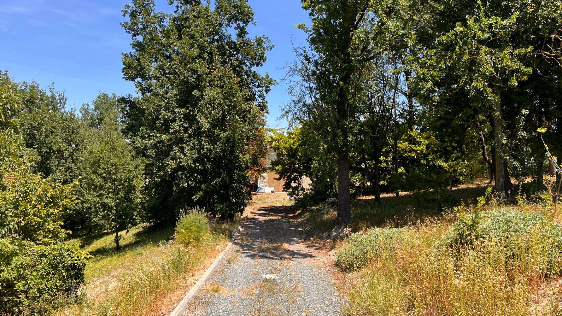  - foto 10