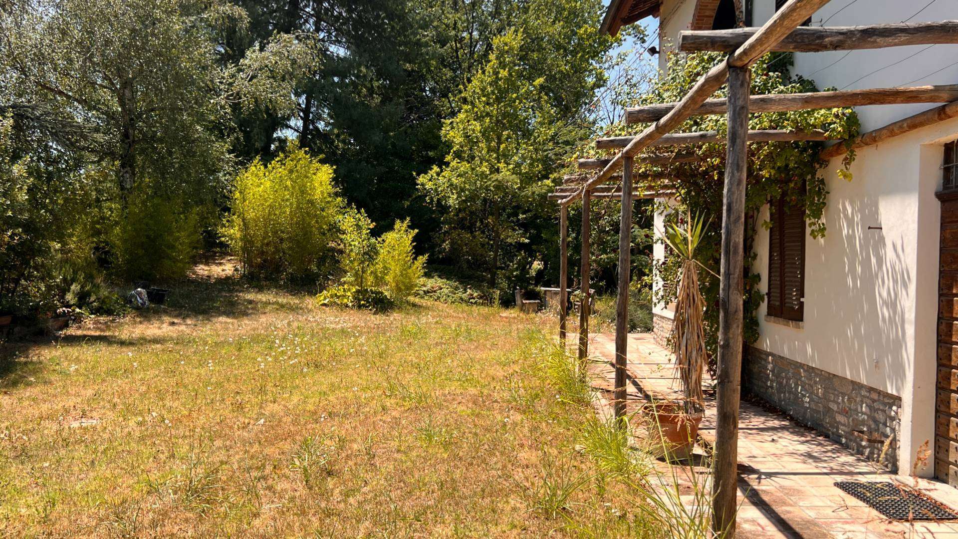  - foto 19