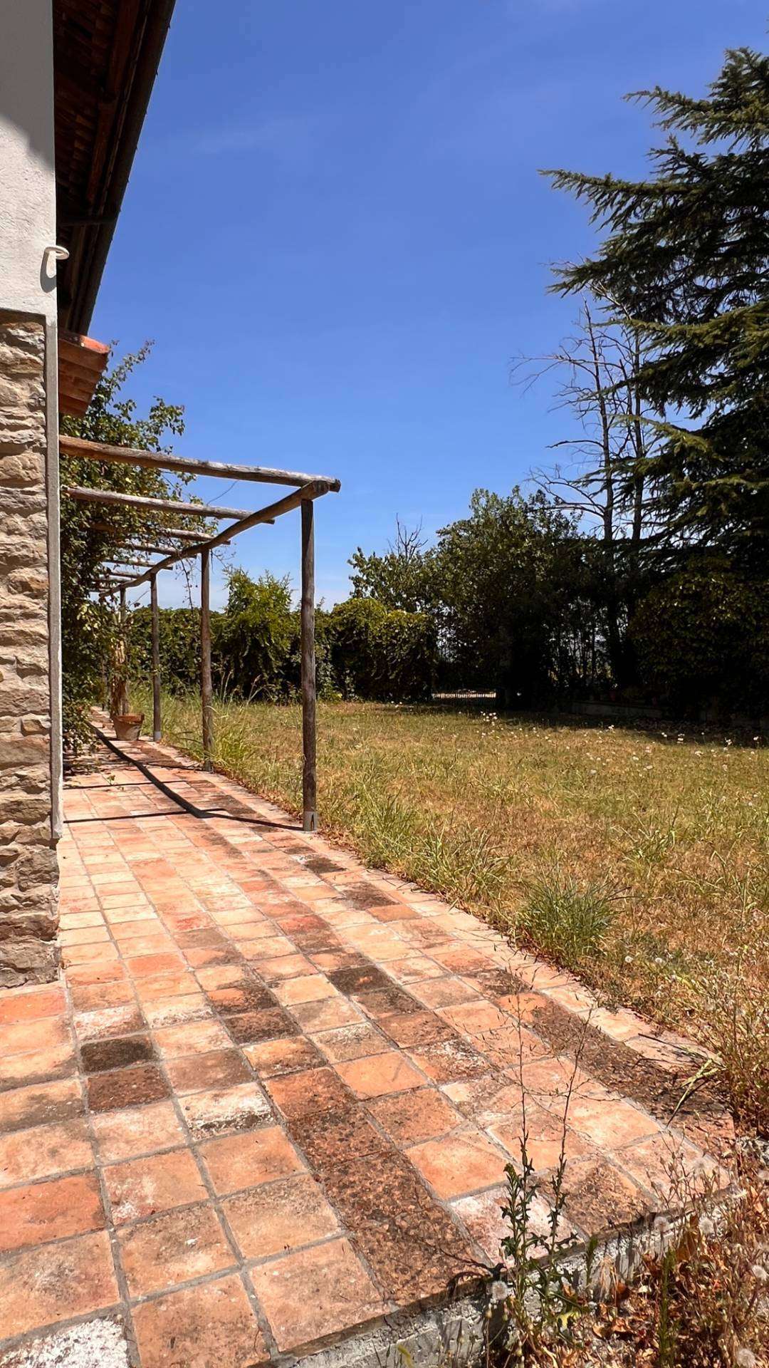  - foto 31