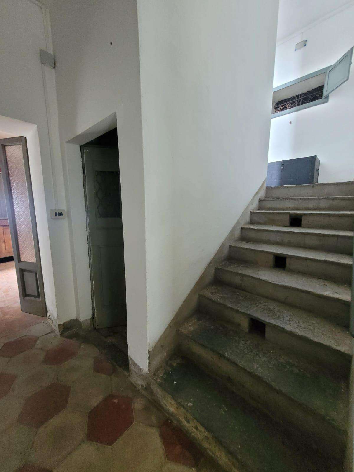 - foto 48