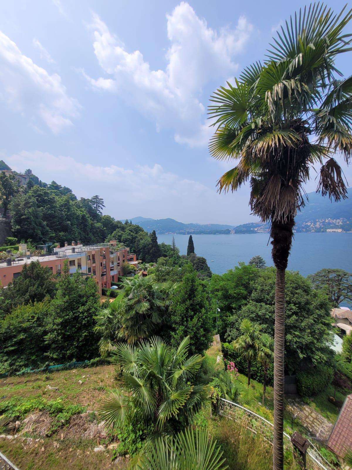  - foto 81