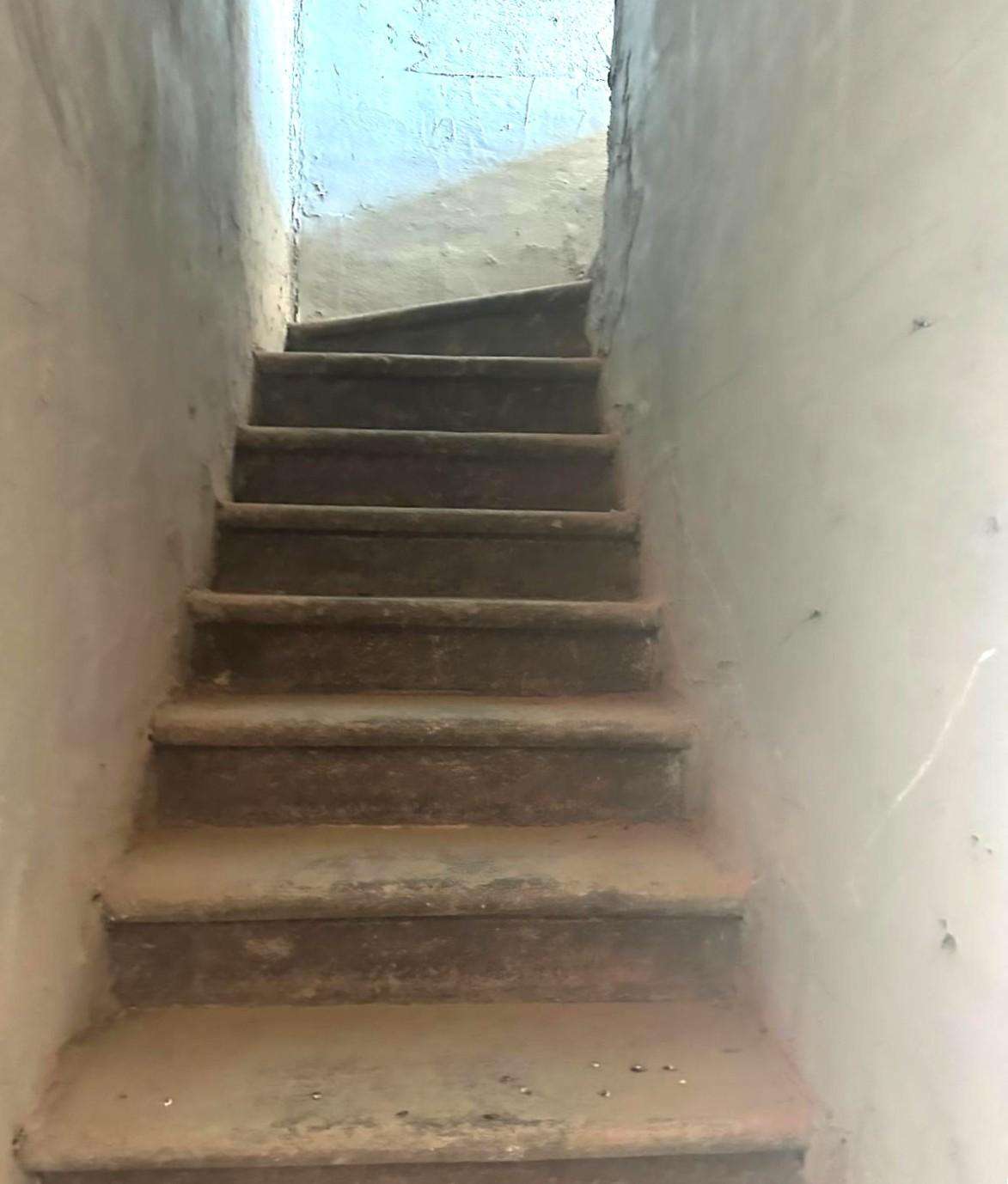  - foto 11