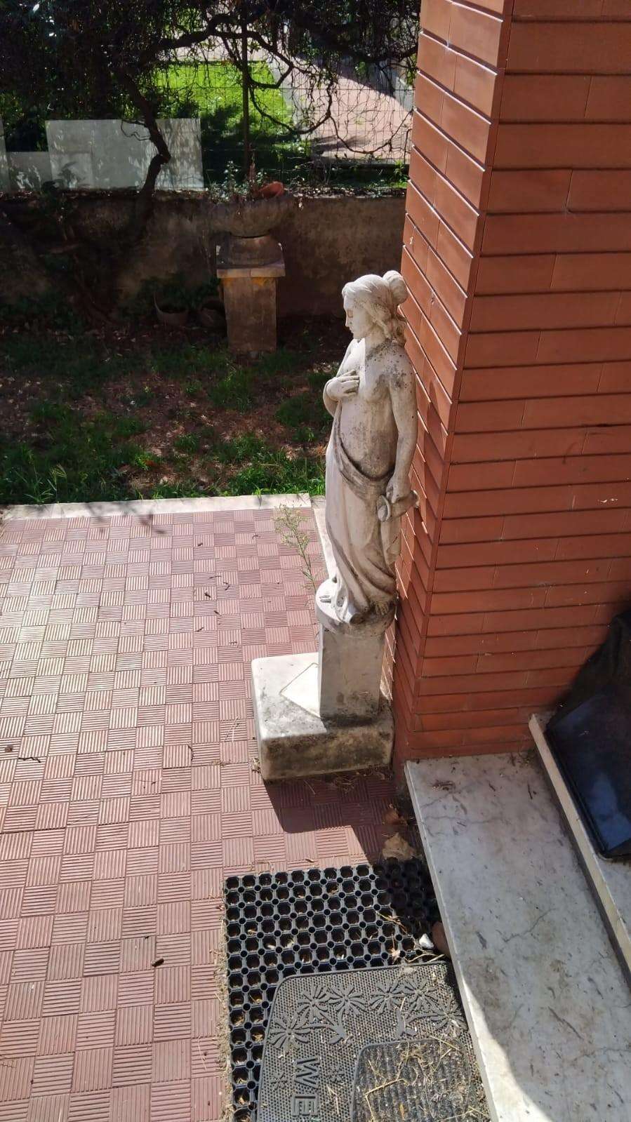  - foto 14