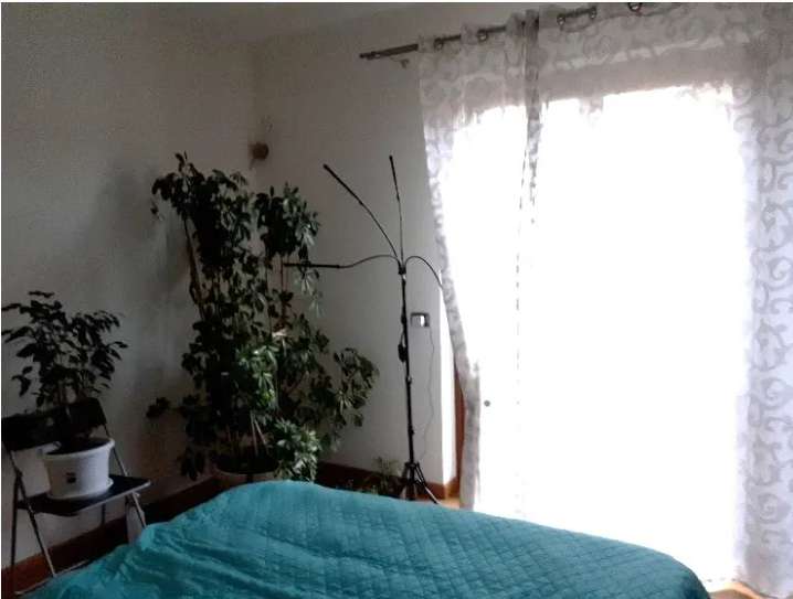  - foto 16