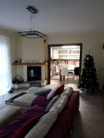  - foto 35
