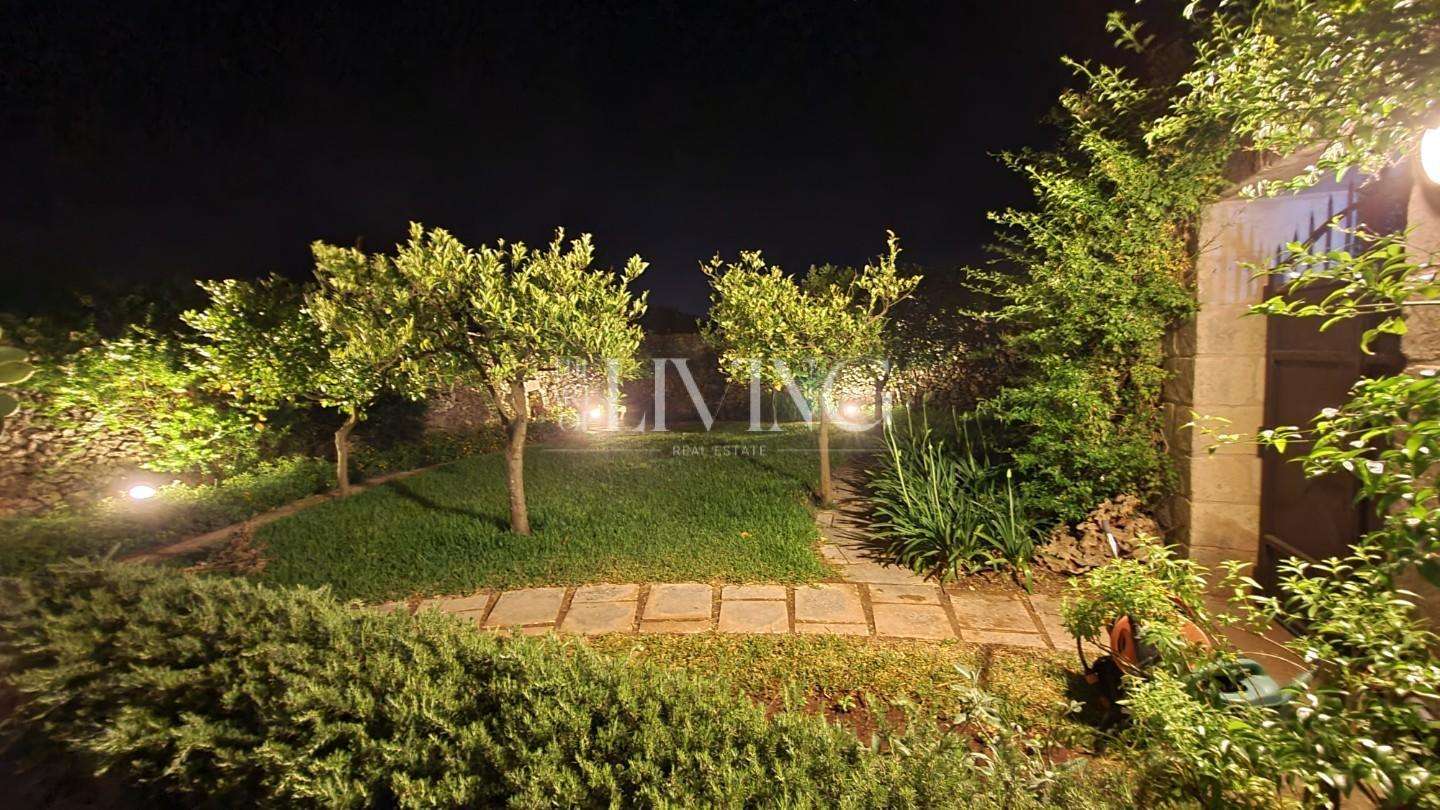  - foto 39