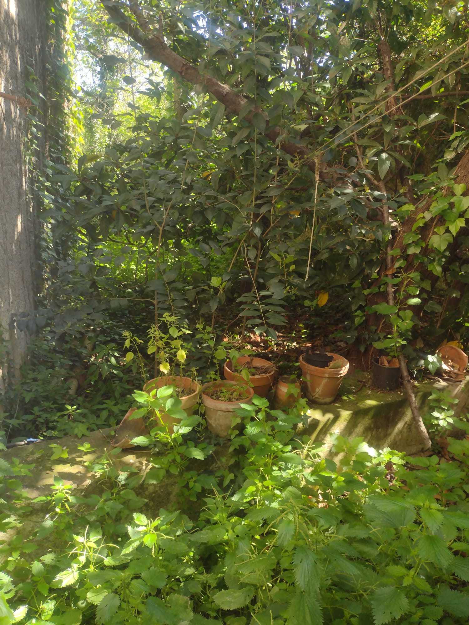  - foto 14
