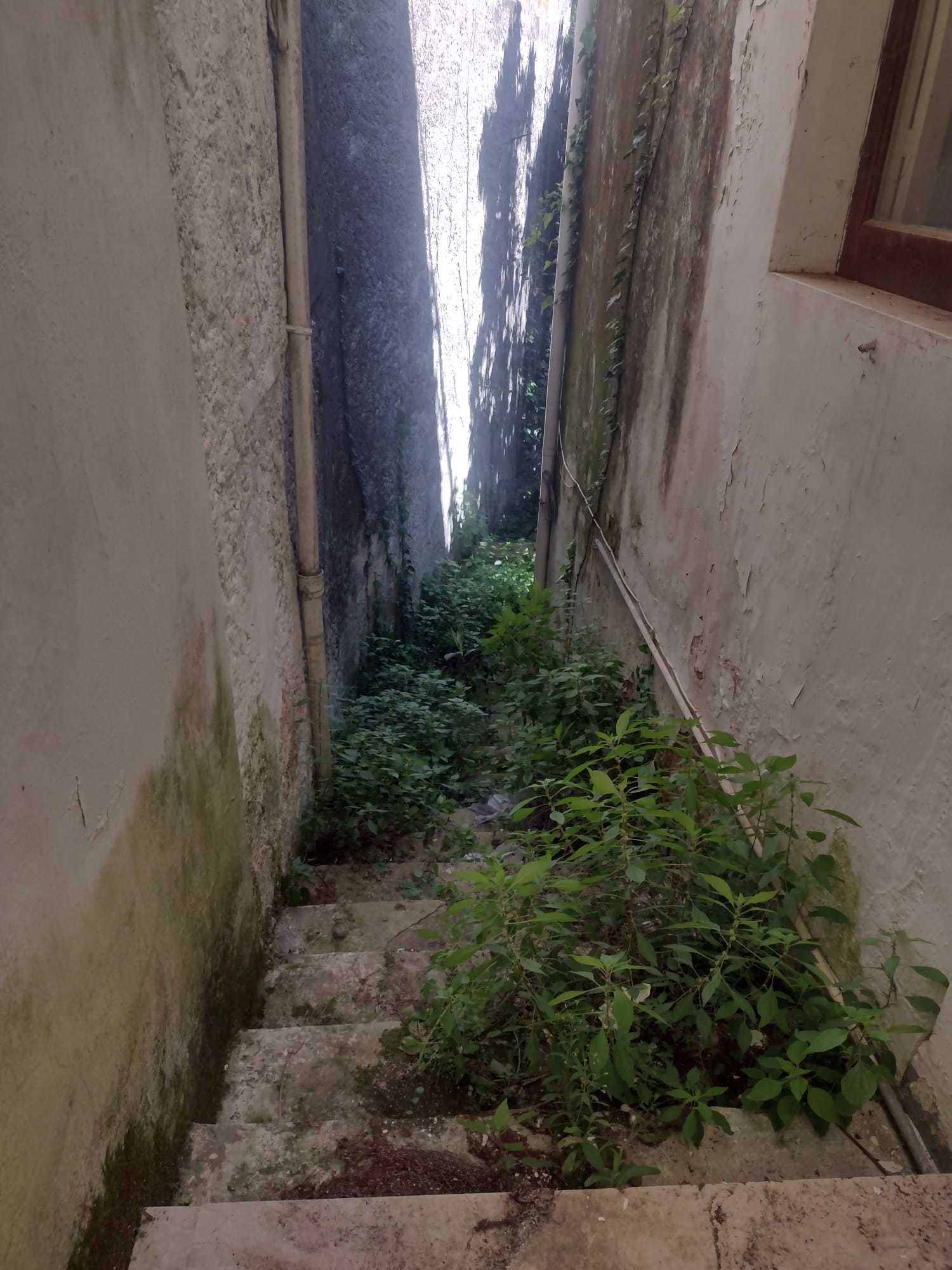  - foto 21