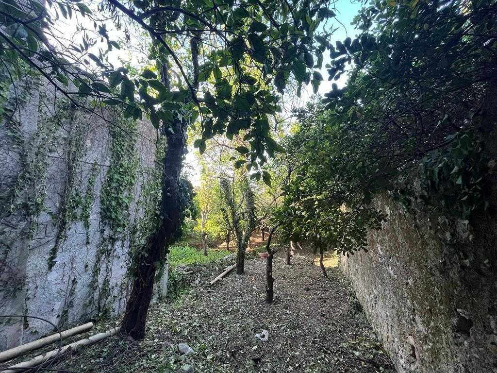  - foto 34