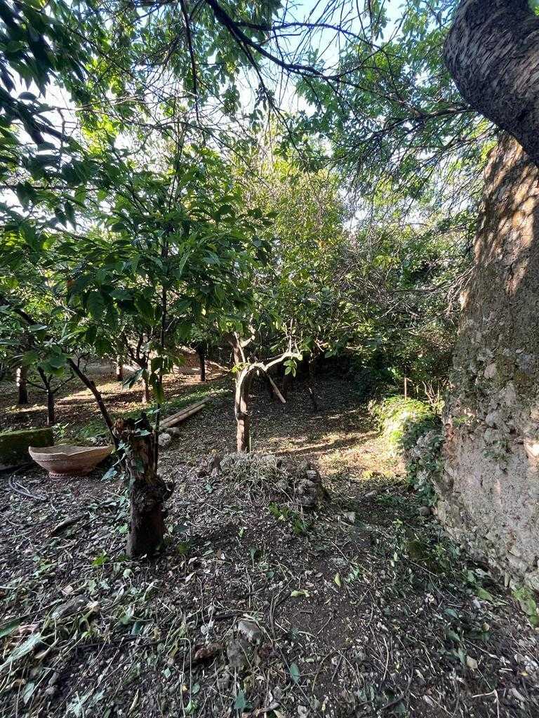  - foto 55