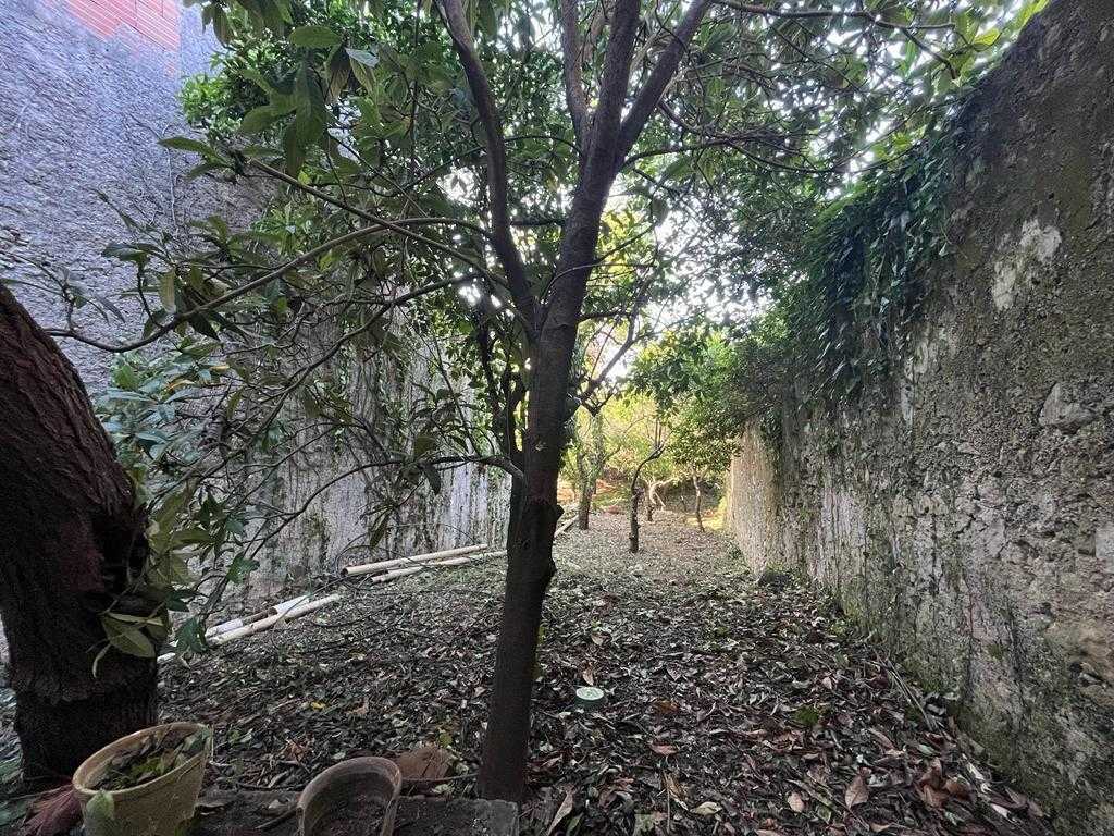  - foto 58