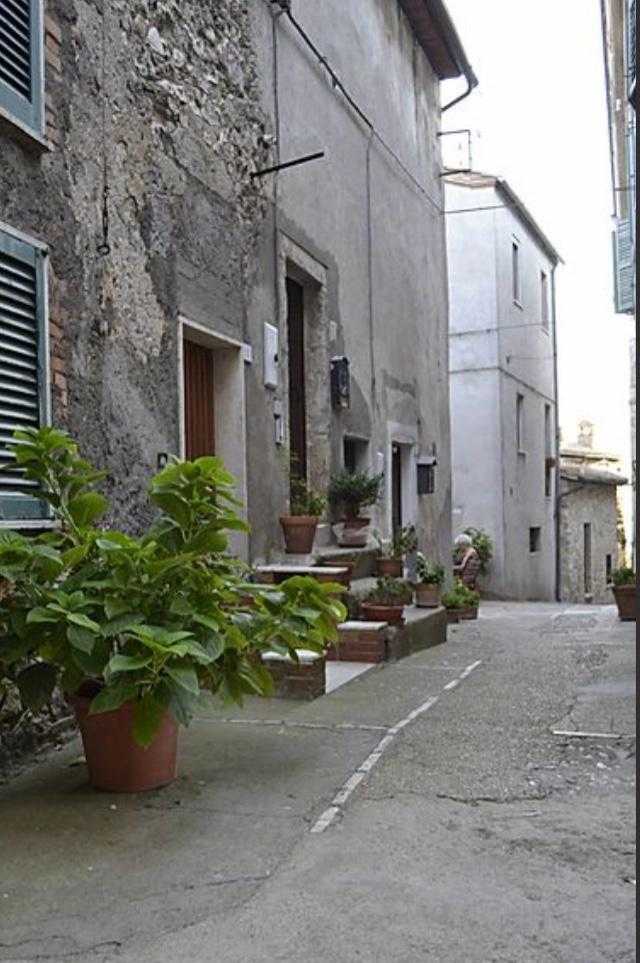 - foto 12