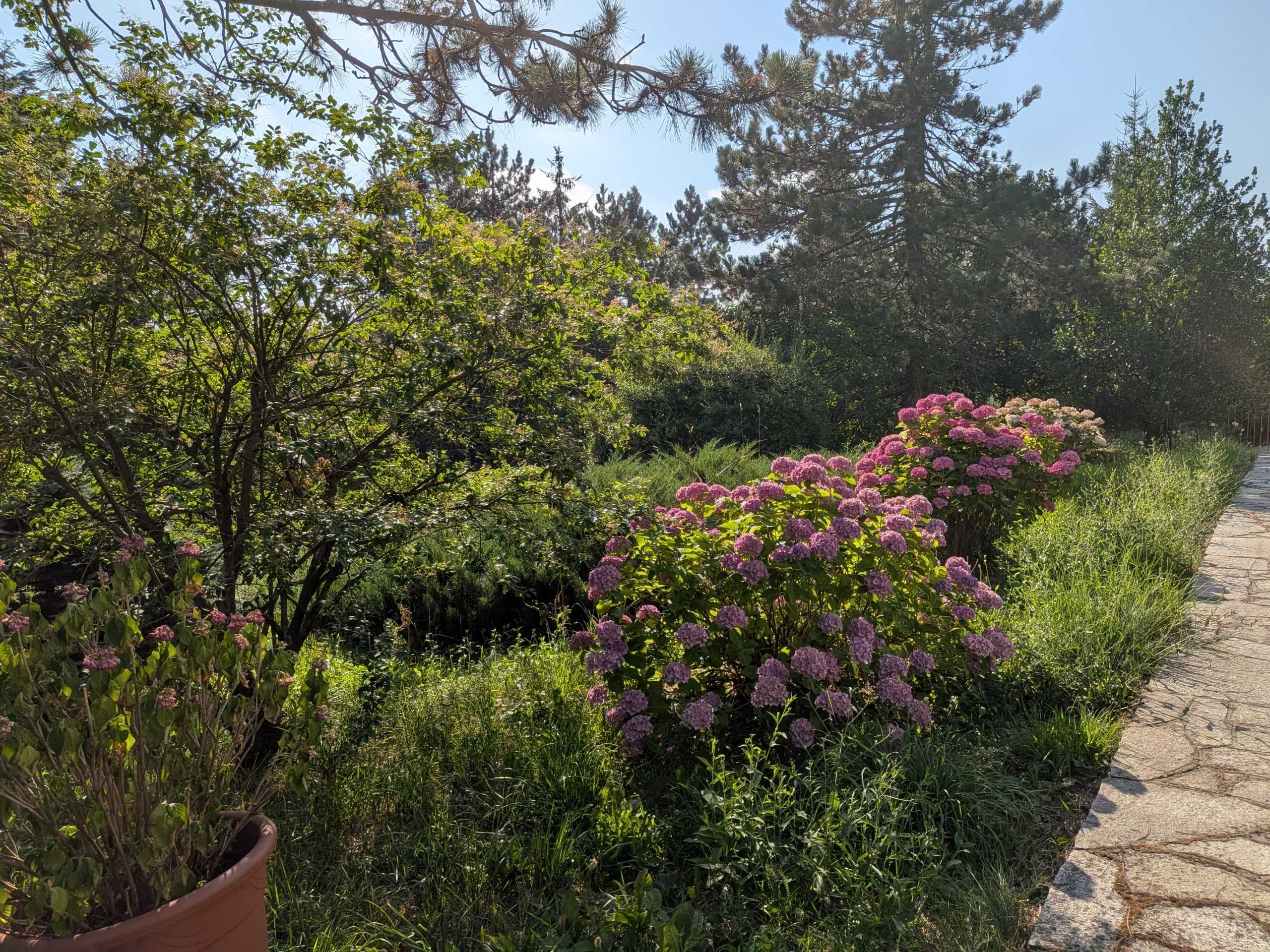  - foto 29
