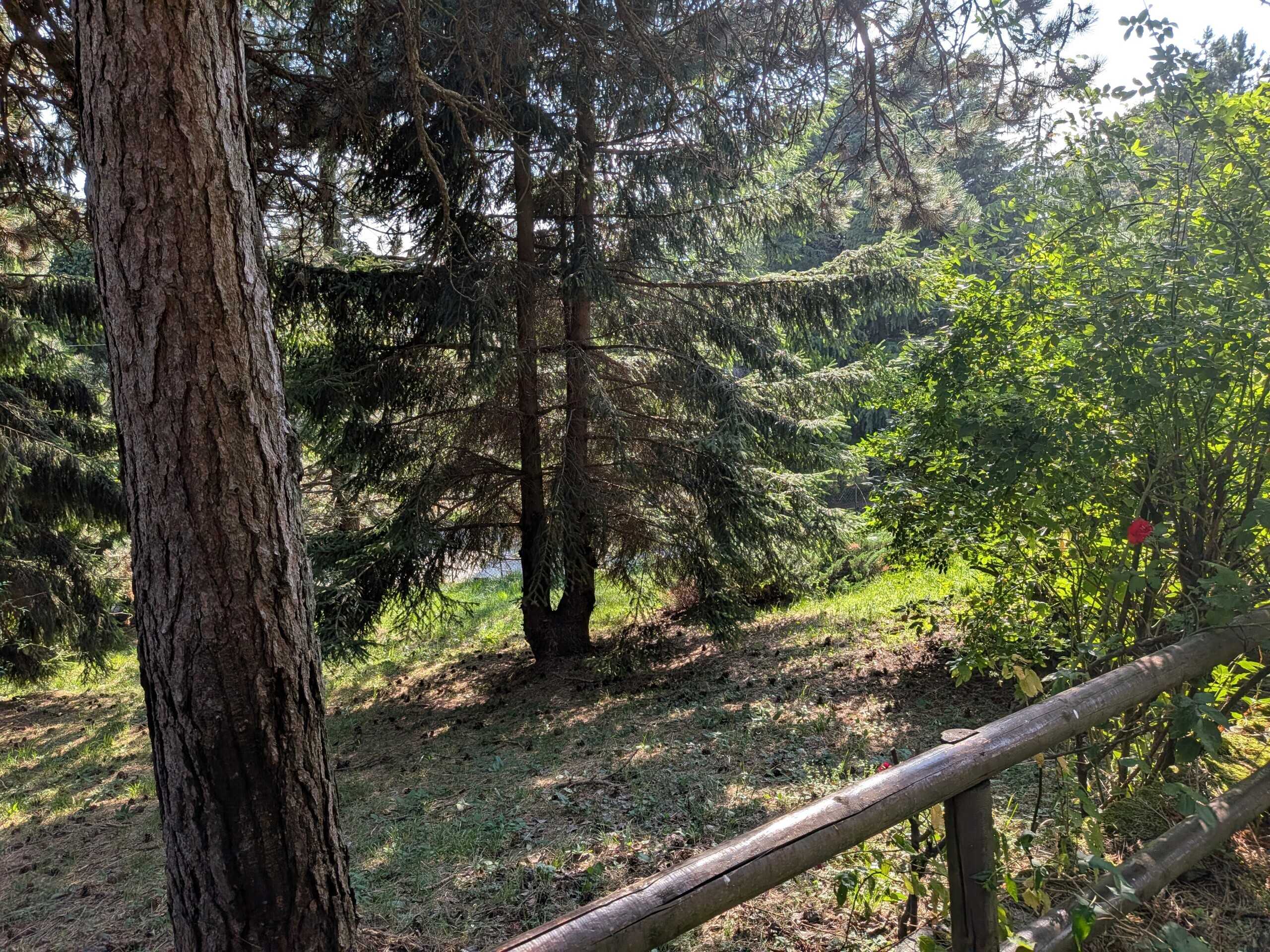  - foto 31