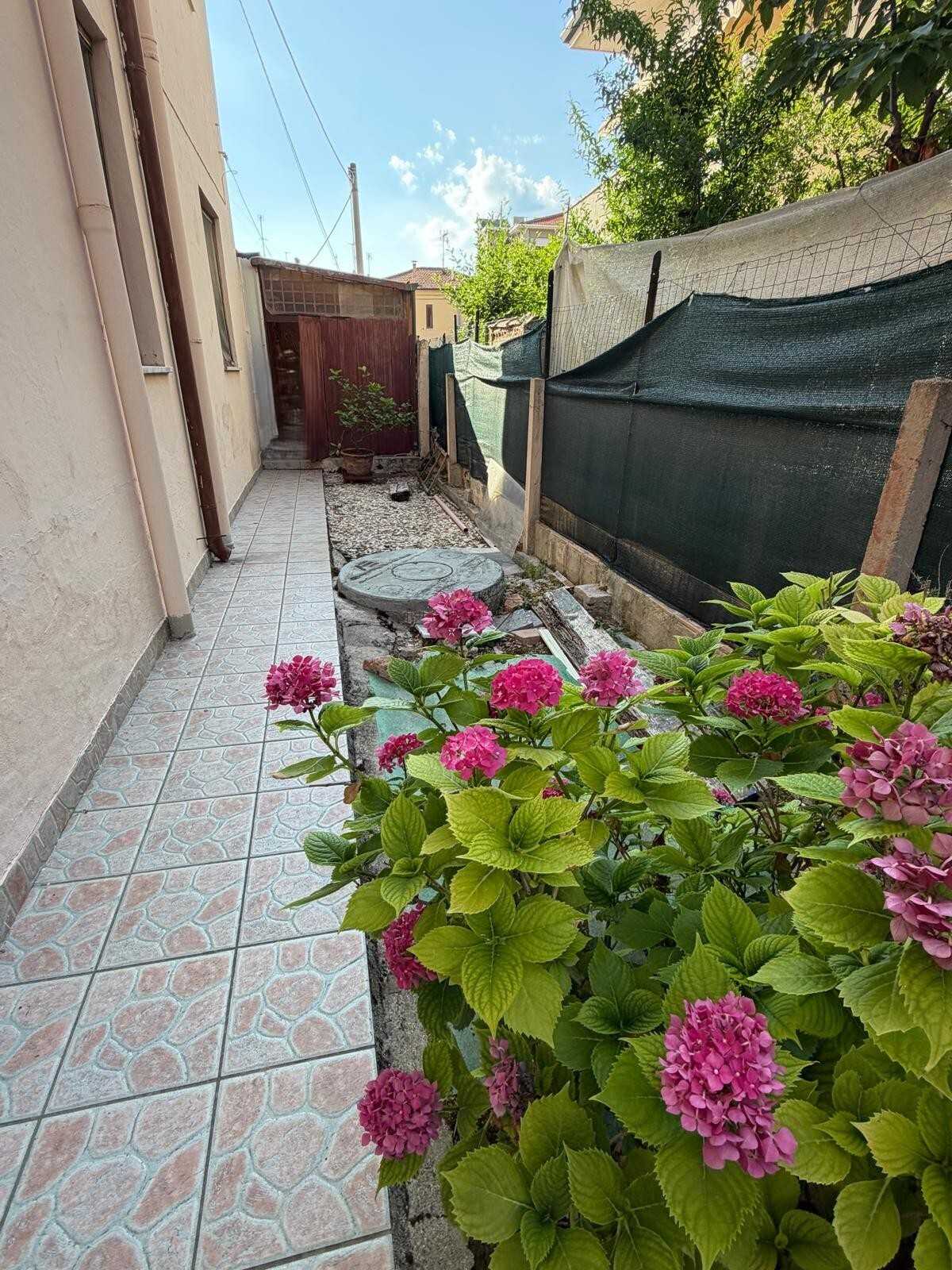  - foto 11