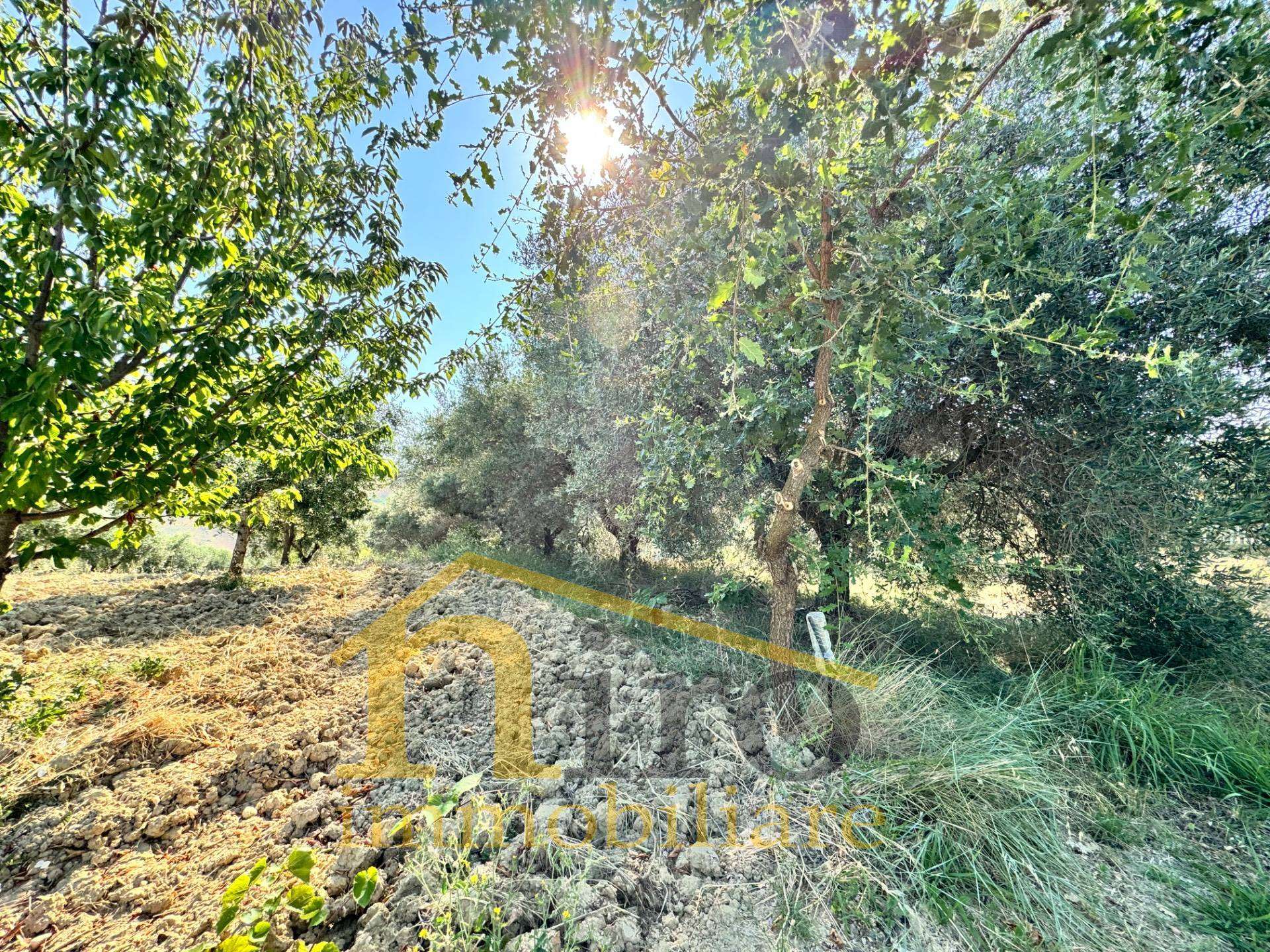  - foto 6