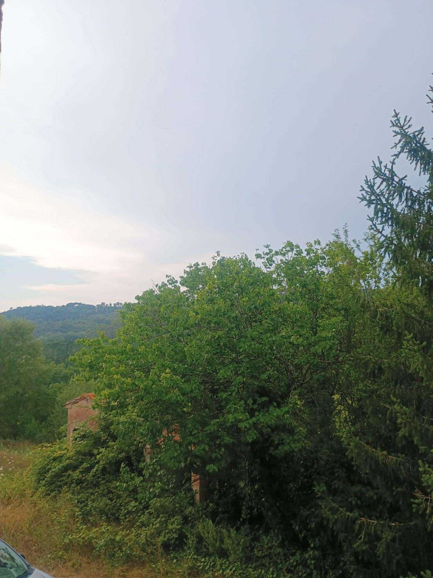  - foto 11