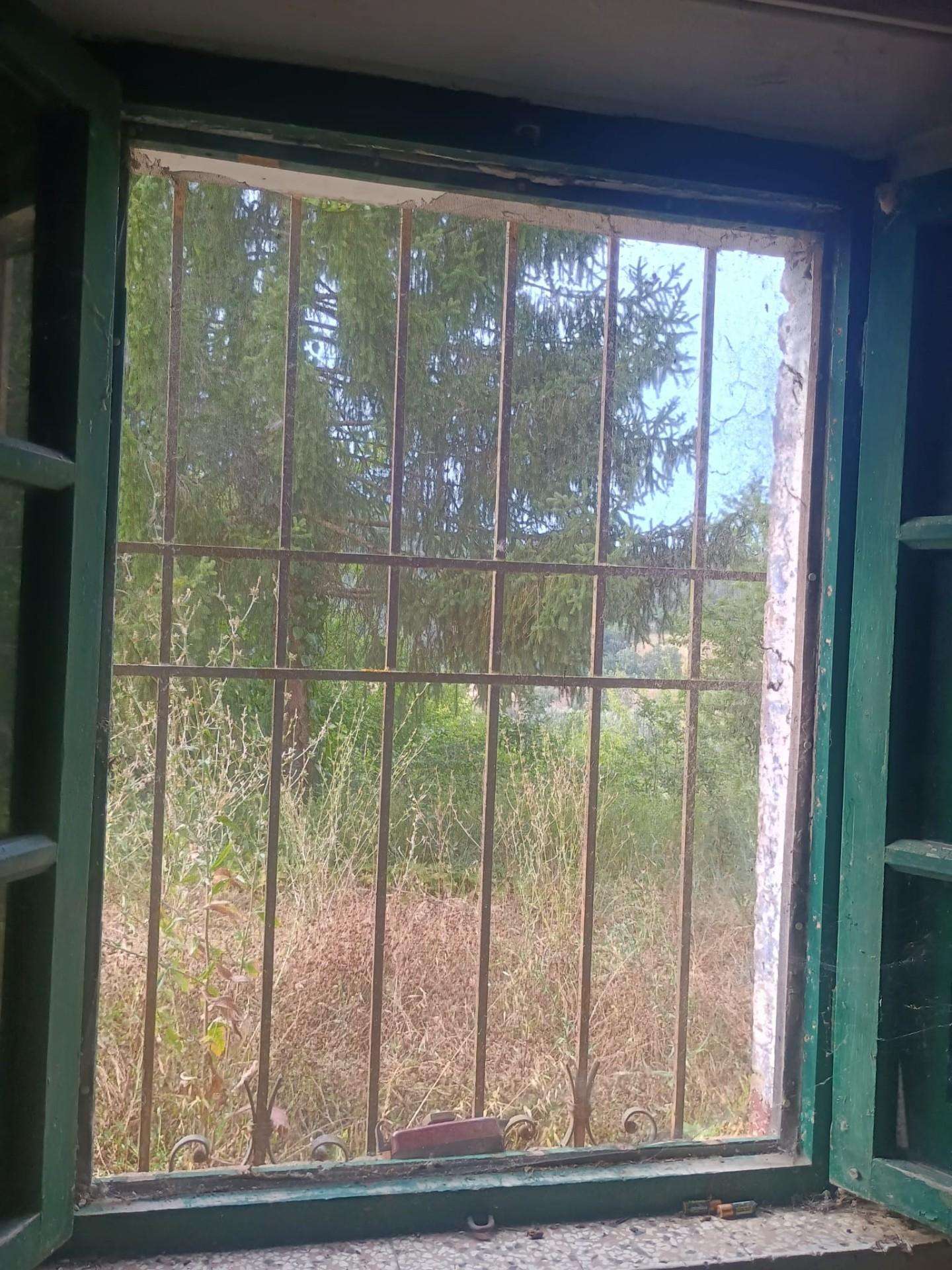  - foto 22