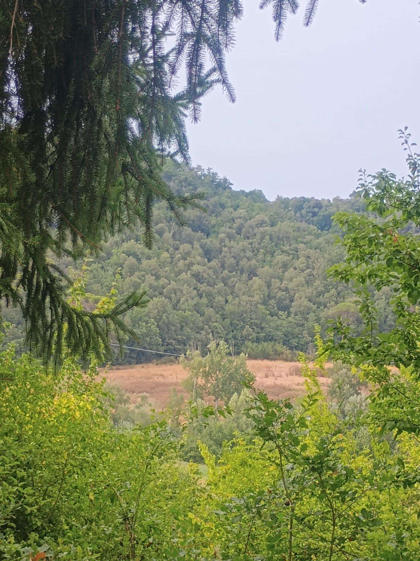  - foto 6