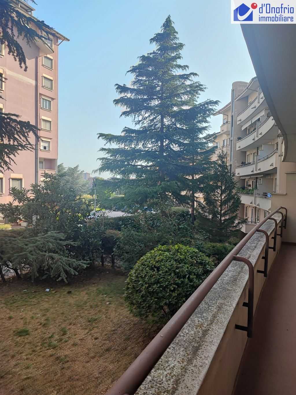  - foto 12