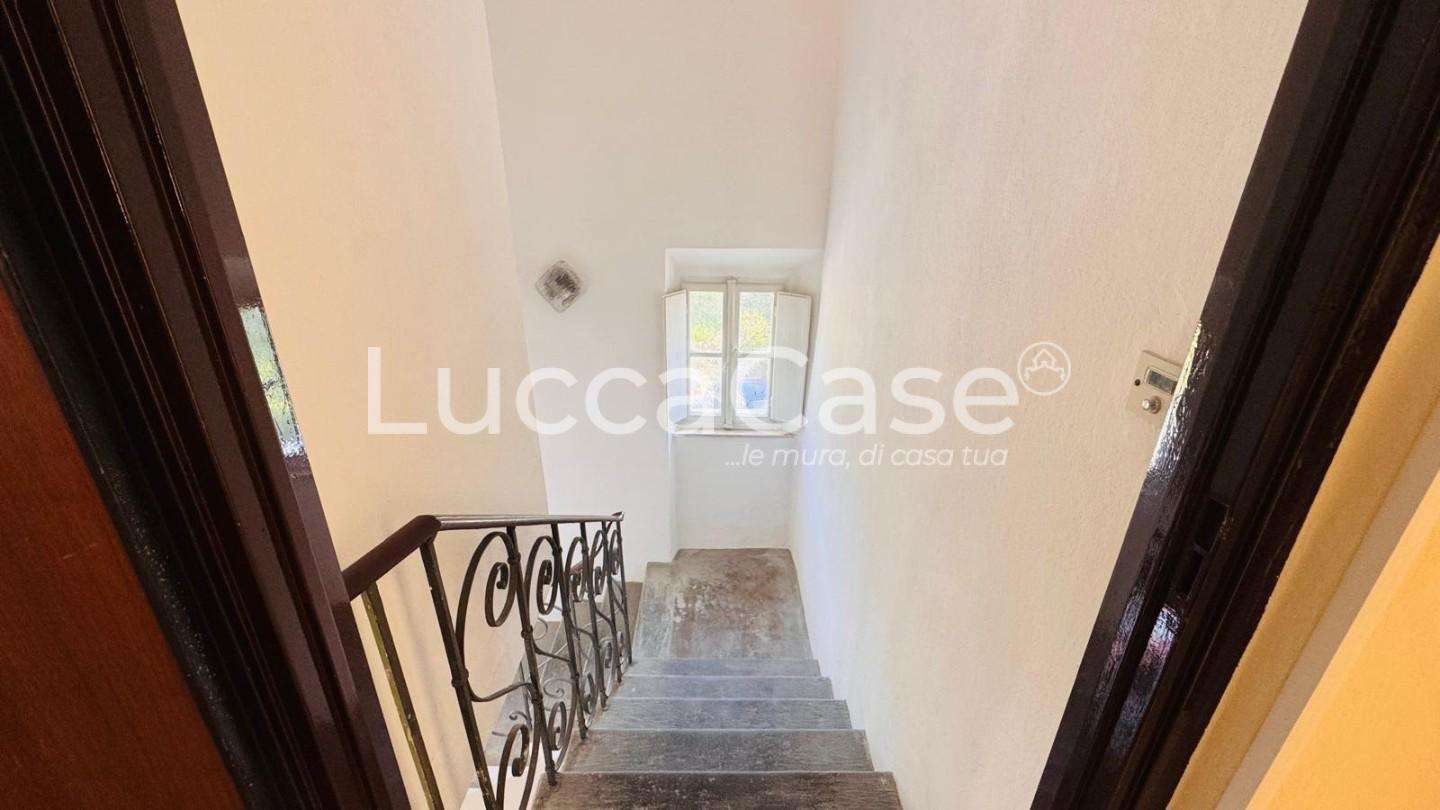  - foto 22