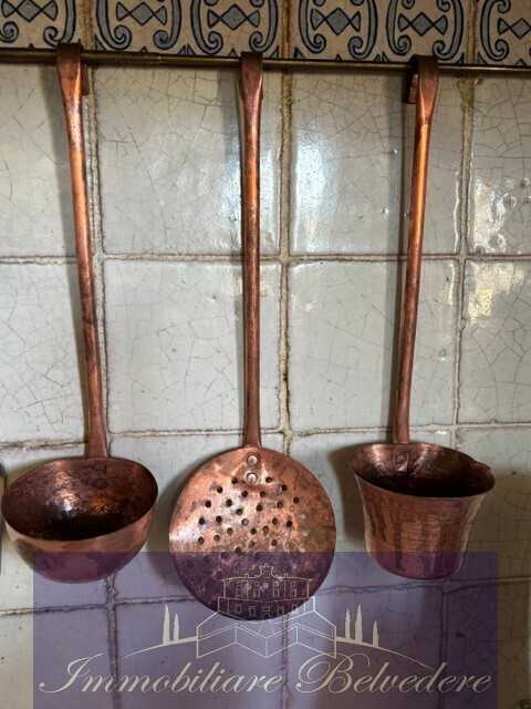  - foto 12
