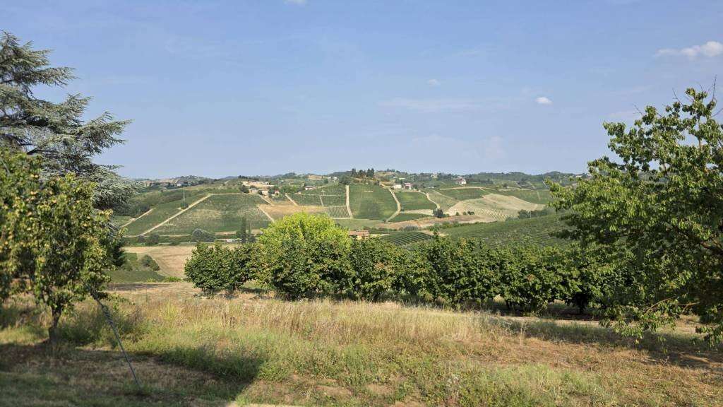  - foto 16