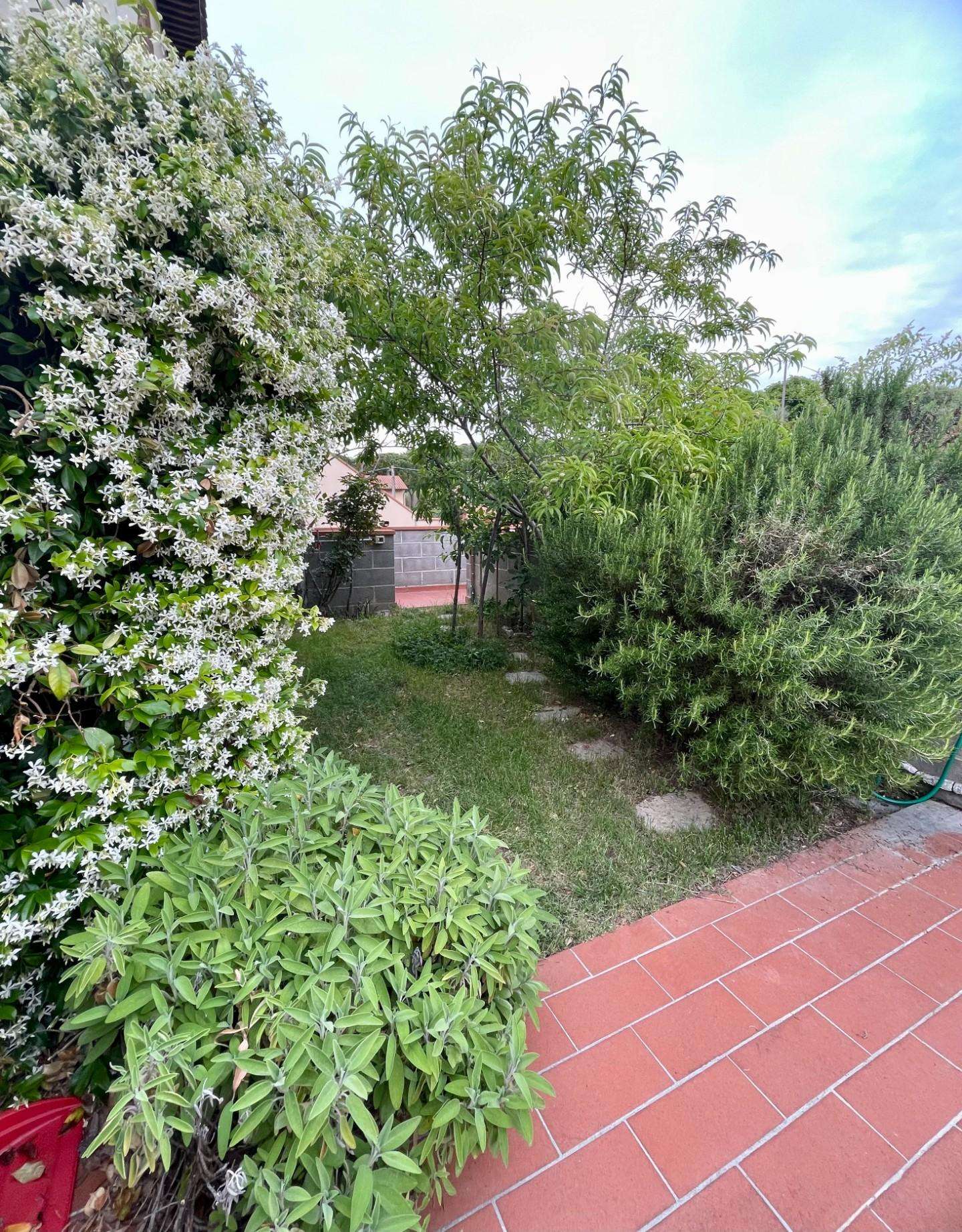  - foto 19