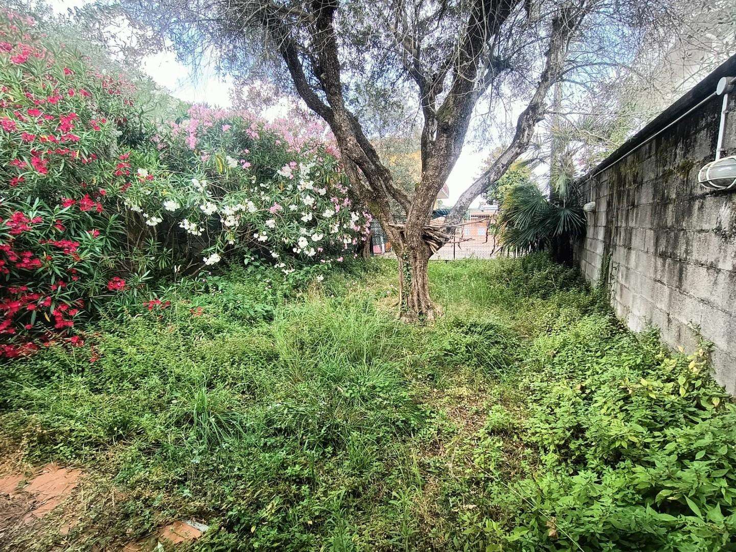  - foto 12