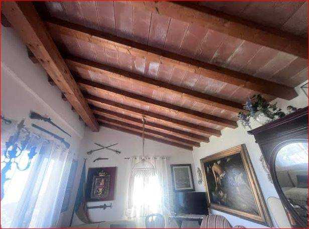  - foto 6