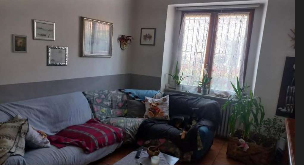  - foto 3