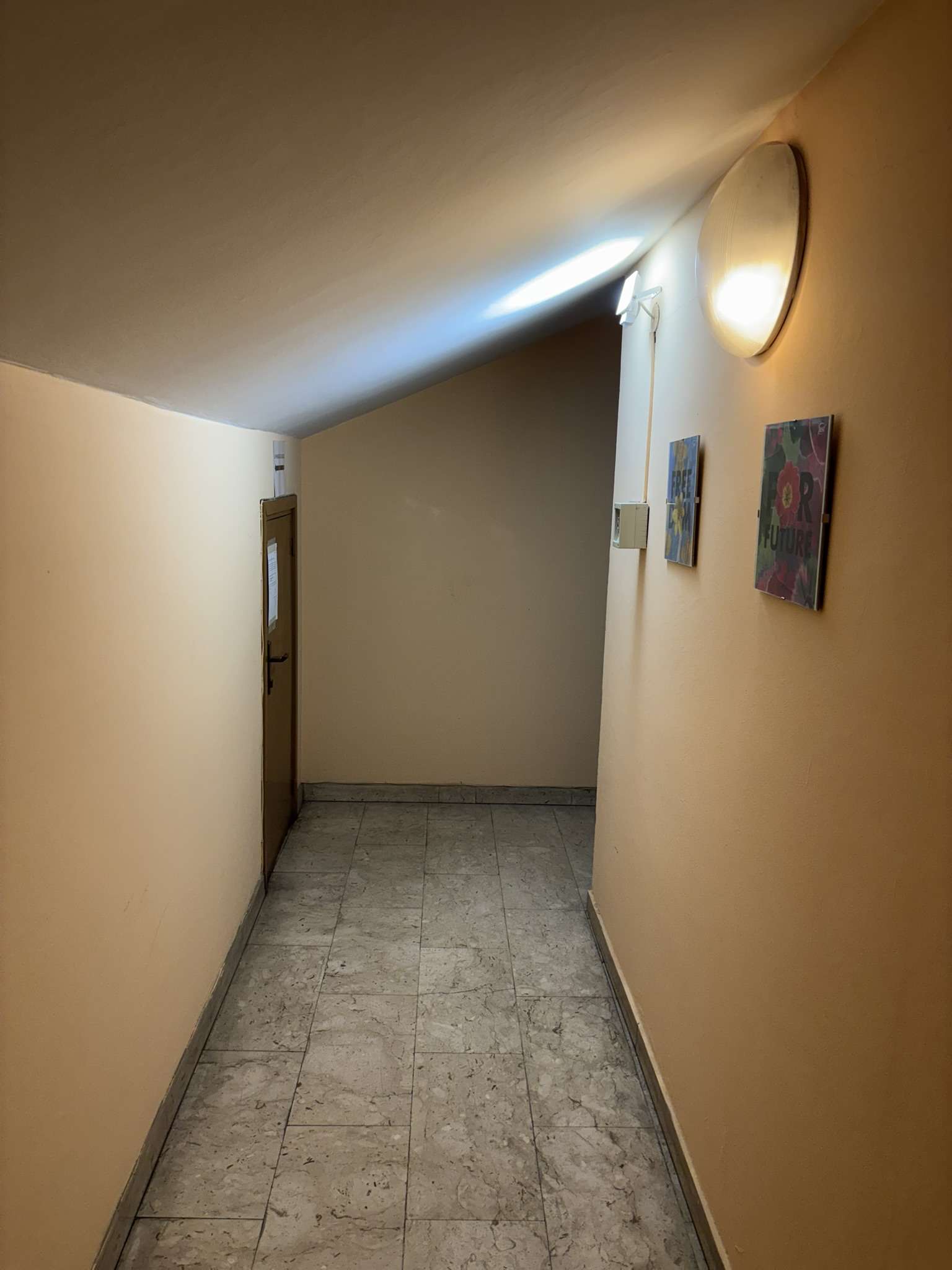  - foto 8