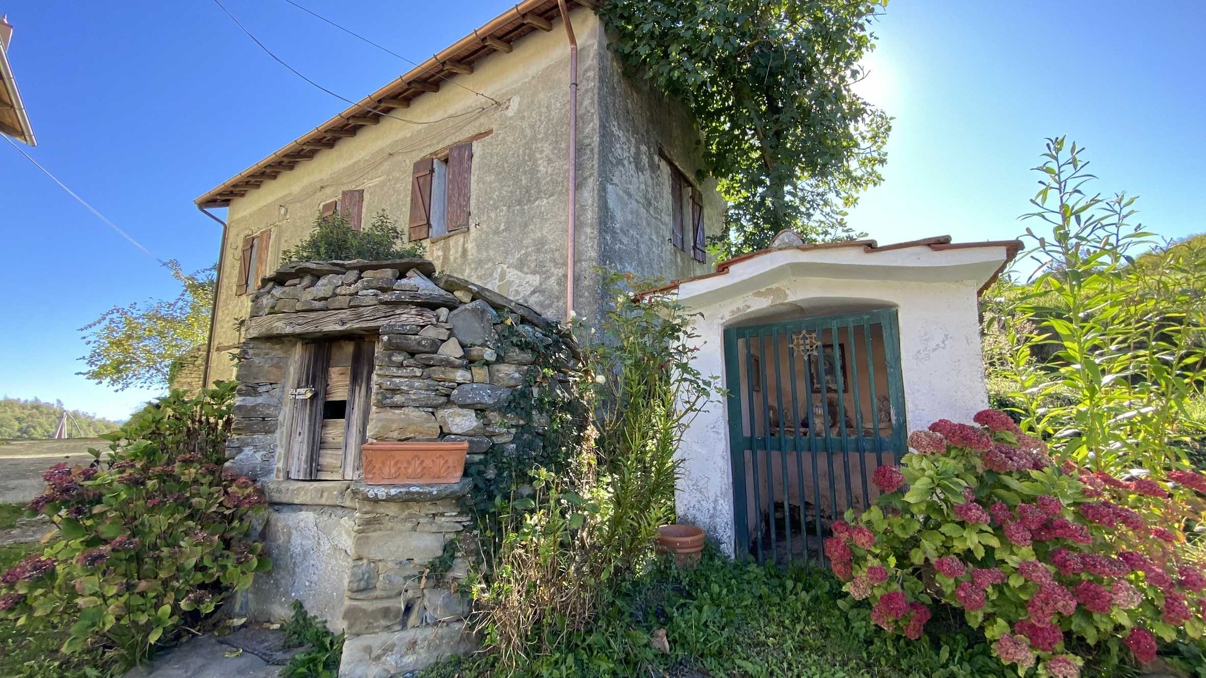  - foto 2